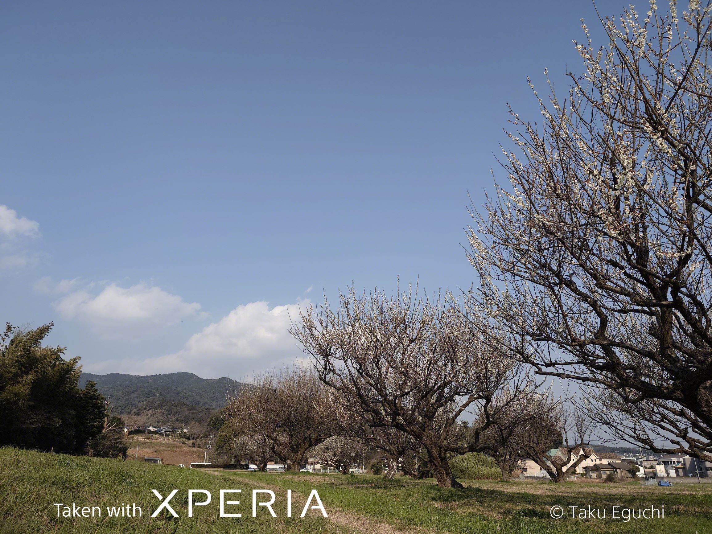 CreativeLook Neutral 24mm